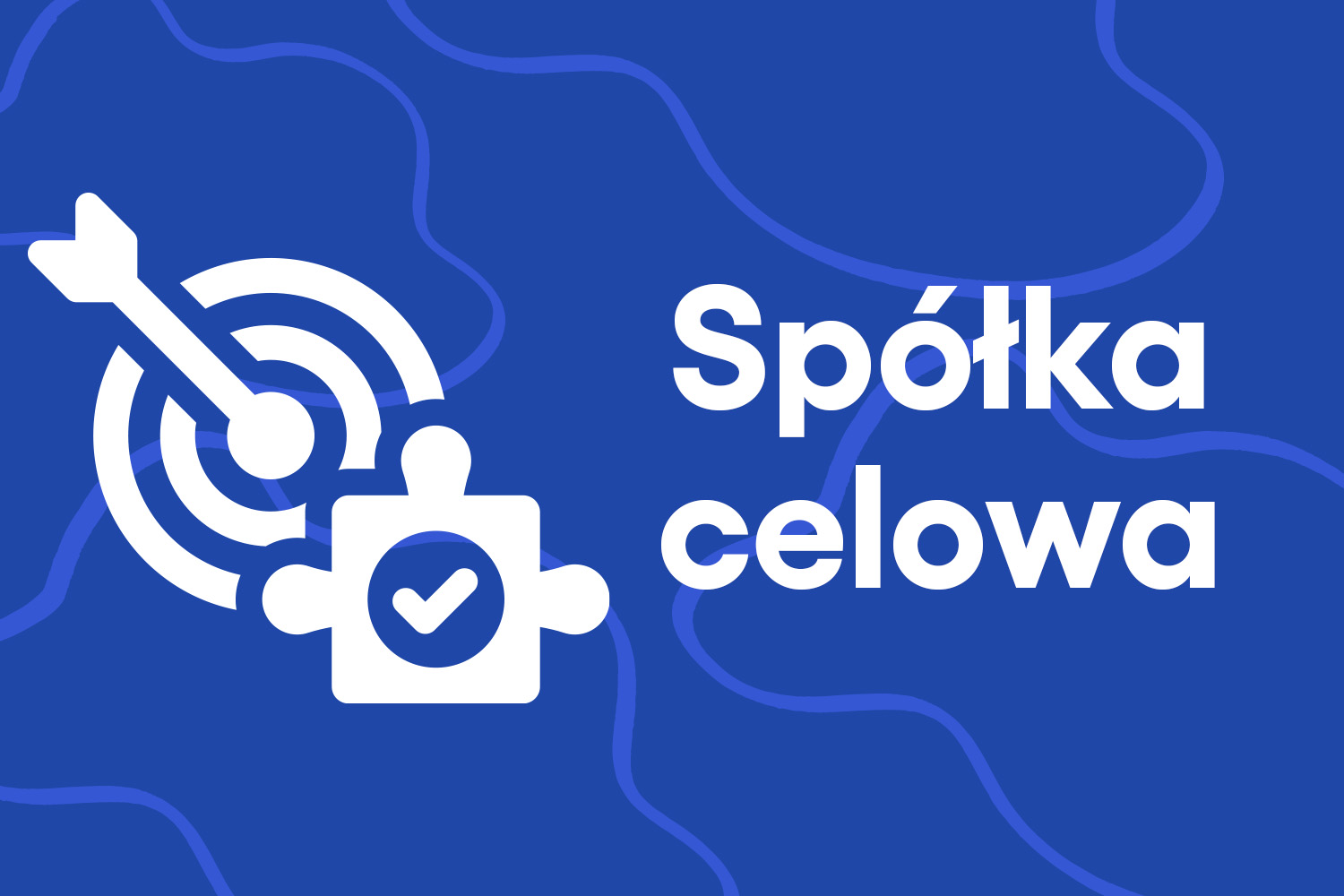 Spółka celowa – czym się charakteryzuje?