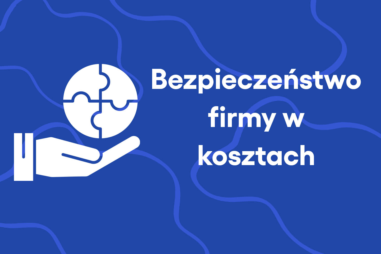 Bezpieczeństwo firmy w kosztach
