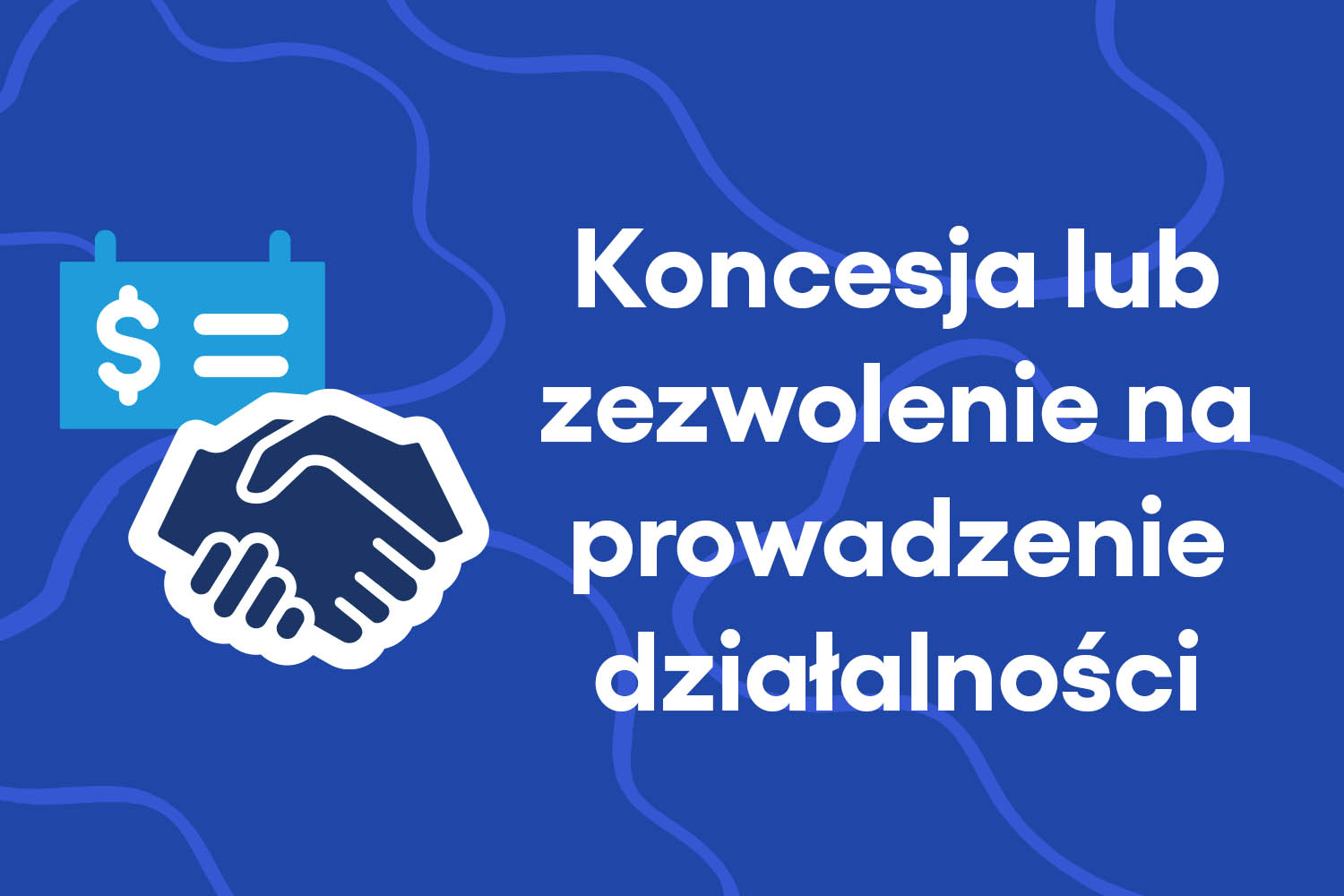 Koncesja lub zezwolenie na prowadzenie działalności